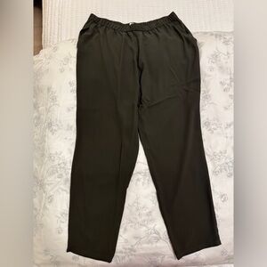 Eileen Fisher Green Silk Pants Size XL